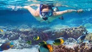 Snorkeling in Maldives: Best Locations & Hot Spots