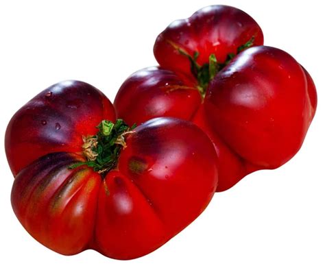 Rouges Tomates Charnues Stock Photos Royalty Free Rouges Tomates