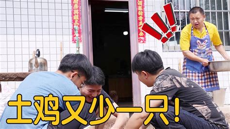 【农村四哥】3兄弟来帮忙栽苞谷，没想到家里土鸡遭了殃，四哥瞬间无语 Youtube