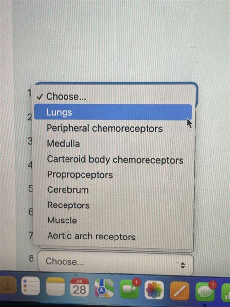 1 Choose... 2 Lungs Peripheral chemoreceptors 3 | Chegg.com 