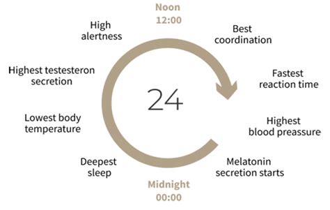 The Circadian Rhythm What Is It And Why Is Matters Led Skylights