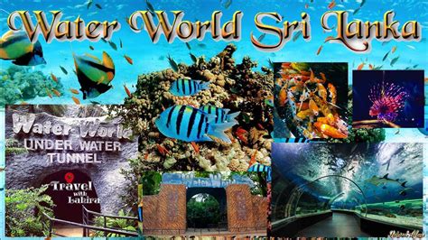 Water World Sri Lanka Kelaniya Under Water Tunnel Fish Aquarium