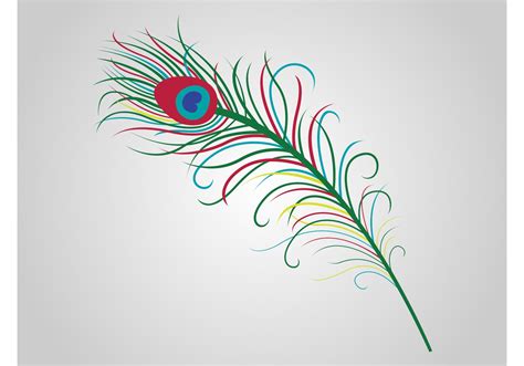 Peacock Feather Vector Free