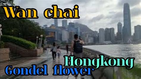 Flawer Golden Hongkong Wan Chai Hongkong Walking Tour Youtube