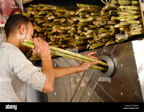 Fresh Sugar Cane Juice Souk Goma Friday Market Street Market