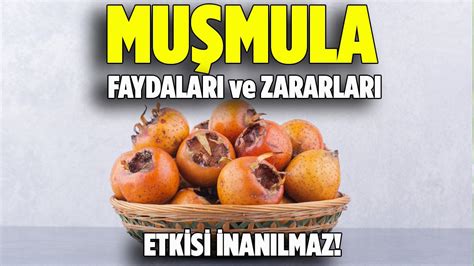 Muşmula Nedir Faydaları Ve Zararları Pratik Yemek Tariflerim