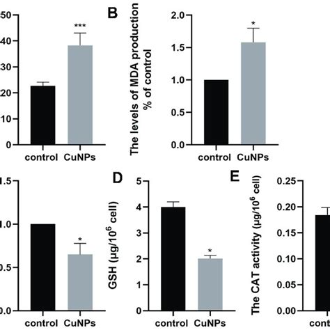 Effect Of CuNP Exposure On ROS A MDA B SOD C GSH D And CAT