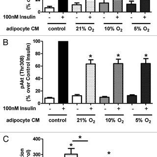 Effects Of Adipocyte Conditioned Medium CM On Human SkMC And SMC CMs