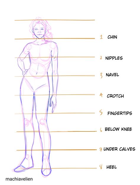 Drawing Female Body Proportions