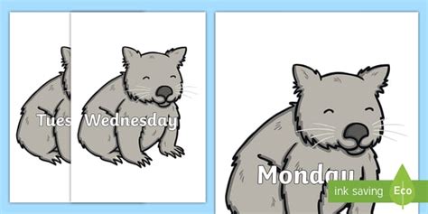 Days Of The Week On Wombat Teacher Made Twinkl