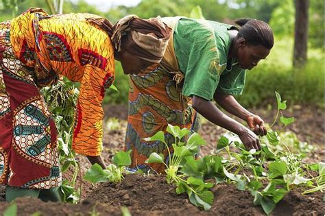 34 Years Of National Farmers Day From Famine To Abundance Graphic Online