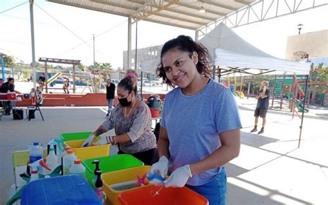 La Uabcs Apoy En Campa A De Esterilizaci N Canina Y Felina En Los