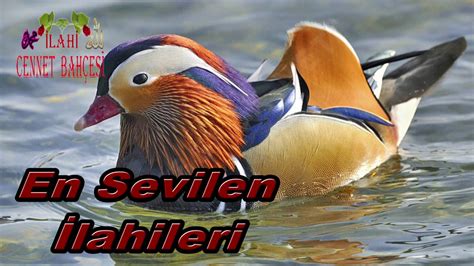 Huzur veren Rahatlatan İlahiler en sevilen ilahiler en güzel