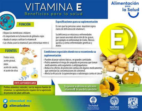 Beneficios De La Vitamina E De 1000 Y Su Importancia Para La Salud