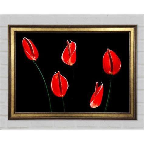 Ebern Designs Beatiful Red Night Flowers Einzelne Bilderrahmen