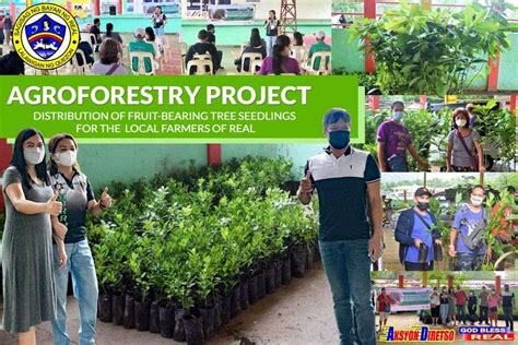 Agroforestry Project Distribution Of Fruit Bearing Tree Seedlings For