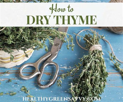 How to Dry Thyme 5 Easy Ways - HealthyGreenSavvy