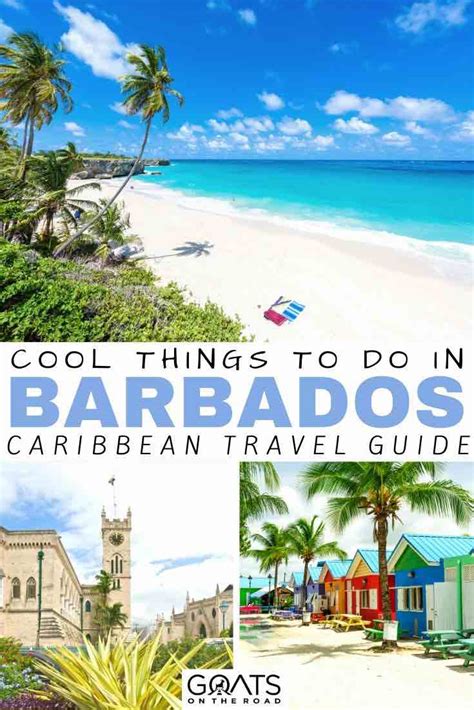 15 Best Things To Do In Barbados In 2023 Goats On The Road