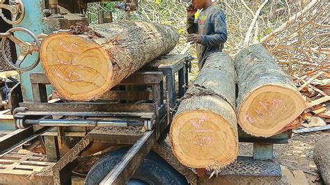 Begitu RumitPengergajian Kayu Jati Bahan Balok 610 Di Rajang Gergaji