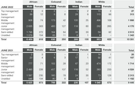 Human Capital Performance Super Group Integrated Report 2022