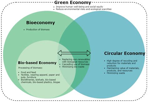 Sustainability Free Full Text Development Of The Circular