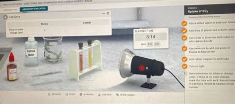 Photosynthesis Monitoring Photosynthesis With Carbon Dioxide Uptake Dora