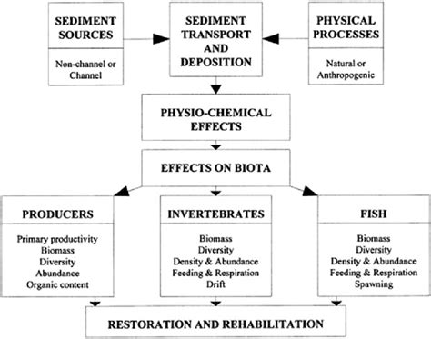 3 A holistic overview of fine sediment in the lotic ecosystem, after ...