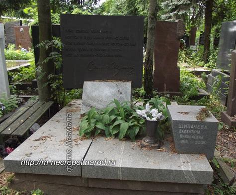 Московский некрополь. Степан Щипачев