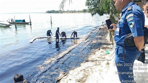 Limbah Hitam Di Pantai Nongsa Batam Terkumpul Empat Ton Lebih Dalam