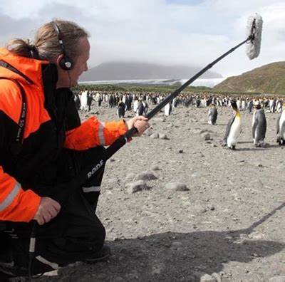 Audiopro Rode Boompole Teleskopski Nosa Mikrofona