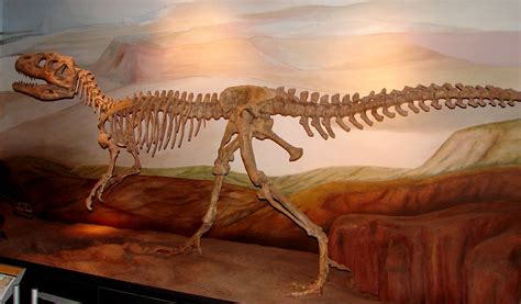 Dinosaur At Paleontological Museum In Trelew Argentina Flickr