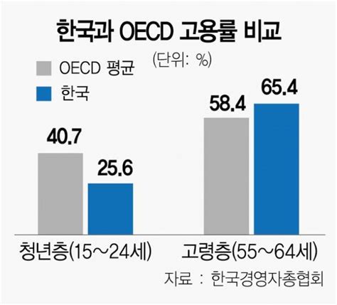 청년 고용률 Oecd 평균보다 15p 밑돌아 네이트 뉴스