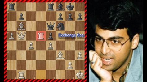 The Gladiator Viswanathan Anand Garry Kasparov World