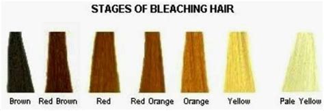 Bleaching Stages How To Lighten Hair Bleached Hair Bleaching Dark Hair