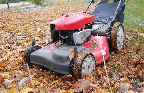 When Should You Stop Mowing Your Lawn If You Live In Michigan