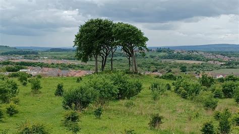 Seven Sisters In Houghton Le Spring Fabulous North