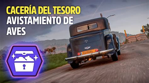 Cacería del Tesoro AVISTAMIENTO DE AVES Forza Horizon 5 YouTube