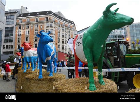 Brussels Belgium 7th Sep 2015 Sculptures Of Dairy Cows Are Seen