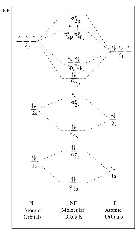 5+ F2 Molecular Diagram - RubekahZoey