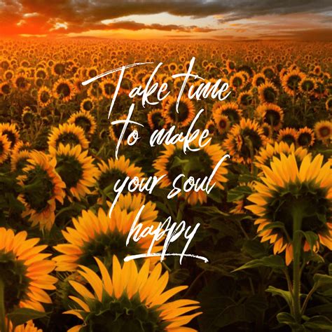 Sunflower Quotes Wallpapers - Top Free Sunflower Quotes Backgrounds ...