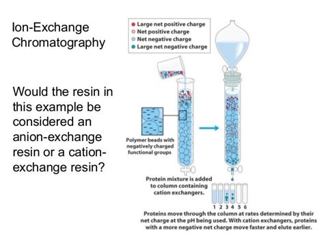 Ion Exchange Chromatography Lecture