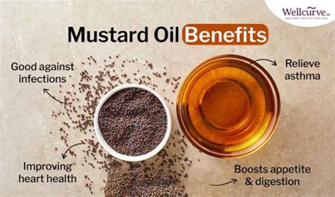 Mustard Oil For Weight Loss Benefits And Side Effects 🥇