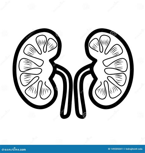 Kidneys Icon. kidney care stock illustration. Illustration of beautiful - 149305041