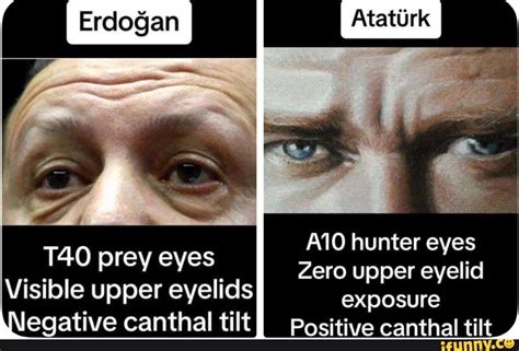 A Hunter Eyes Zero Upper Eyelid Prey Eyes Visible Upper Eyelids