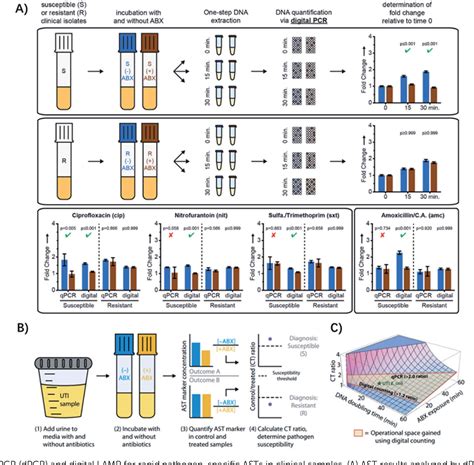 PDF Microfluidic Systems For Rapid Antibiotic Susceptibility Tests