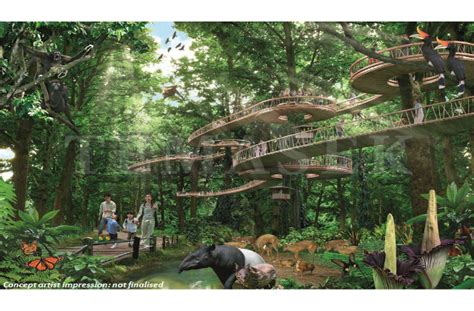 New attractions in Singapore: New Bird Park and Rainforest Park in 2020 | MoneyDigest.sg