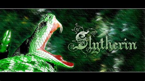 Green Snake With Open Mouth Hd Slytherin Wallpapers Hd Wallpapers