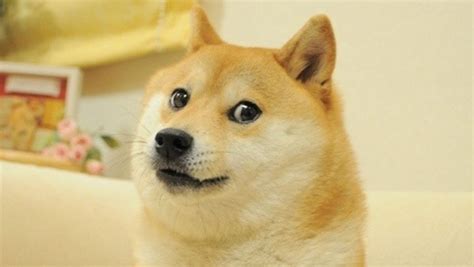 Elon Musks Doge Dumped Miners Sell 65m In 48 Hours Thestreet