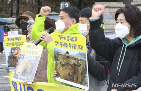 개도살 금지법 국회 통과 촉구 네이트 뉴스