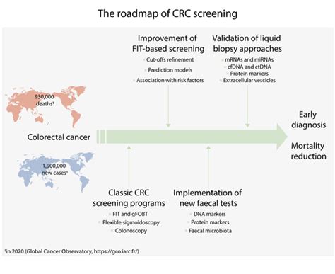 Cancers Free Full Text The Roadmap Of Colorectal Cancer Screening